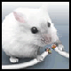 Benutzeravatar
