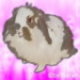 Benutzeravatar