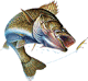 Benutzeravatar