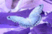 Benutzeravatar