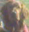 Benutzeravatar