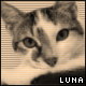 Benutzeravatar