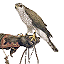 Benutzeravatar