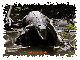 Benutzeravatar
