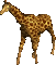 Benutzeravatar