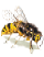 Benutzeravatar